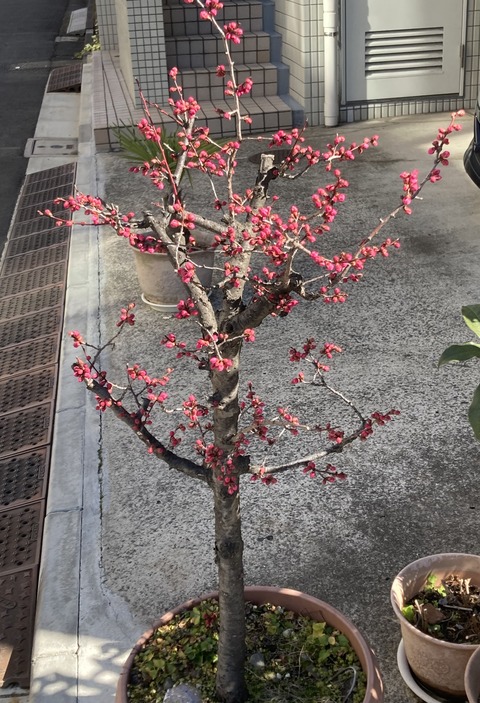 1892DEB6-C365-41D3-AE10-46D986A44083