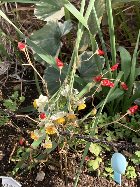 318346B6-8930-408C-B81E-D3BD8E362B61