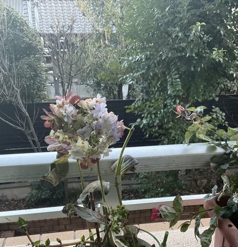 2D253EE5-BE53-465D-947A-75EC7D84E4AE