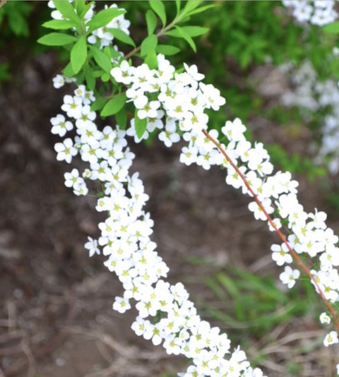 66CC9A2B-CF34-4B2D-8B95-7F95E069C750