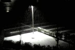 初雪2