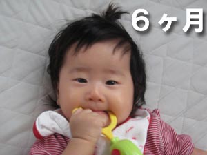 娘6ヶ月