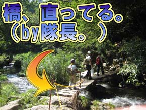 カブキャンプ8