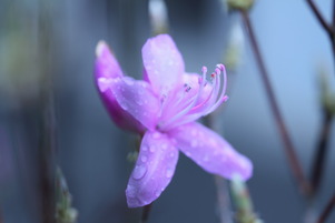 20130325_018