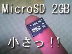 MicroSD