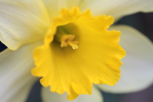 20120428macro_015