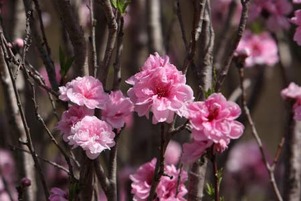 20130405_020