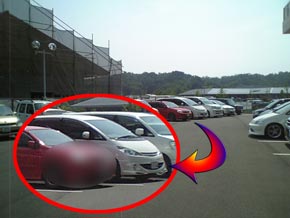 有休