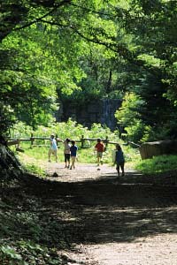 CAMP20100718_011