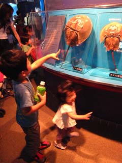 須磨海浜水族園5