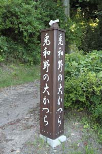 CAMP20100718_022