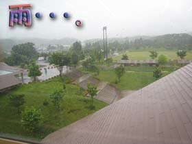 2008うんぼぼの会