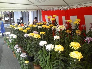 ���ܥ����󥿥�4