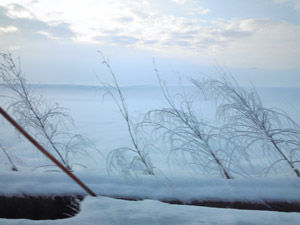 雪景色4