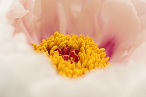 20120428macro_034