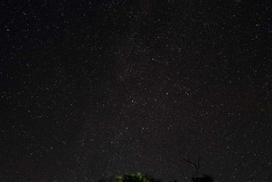 CAMP20100718_049