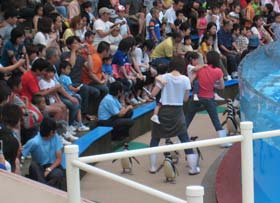 須磨海浜水族園8