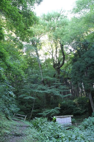 CAMP20100718_021