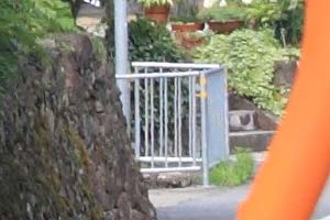 EOS7D_TEST_2