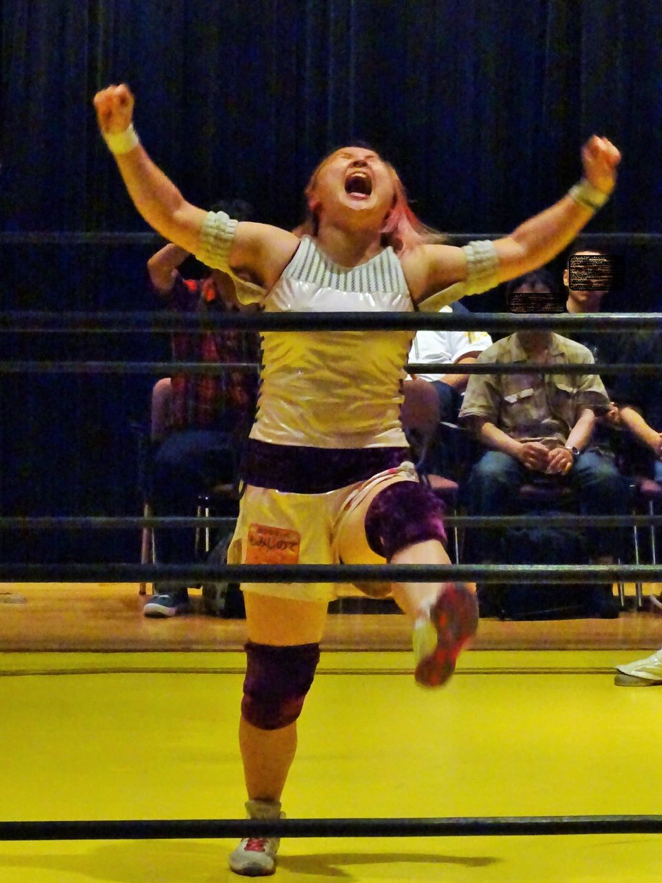 プロレスラー写真-blog A館
笹村あやめ選手 2019/07
コメント