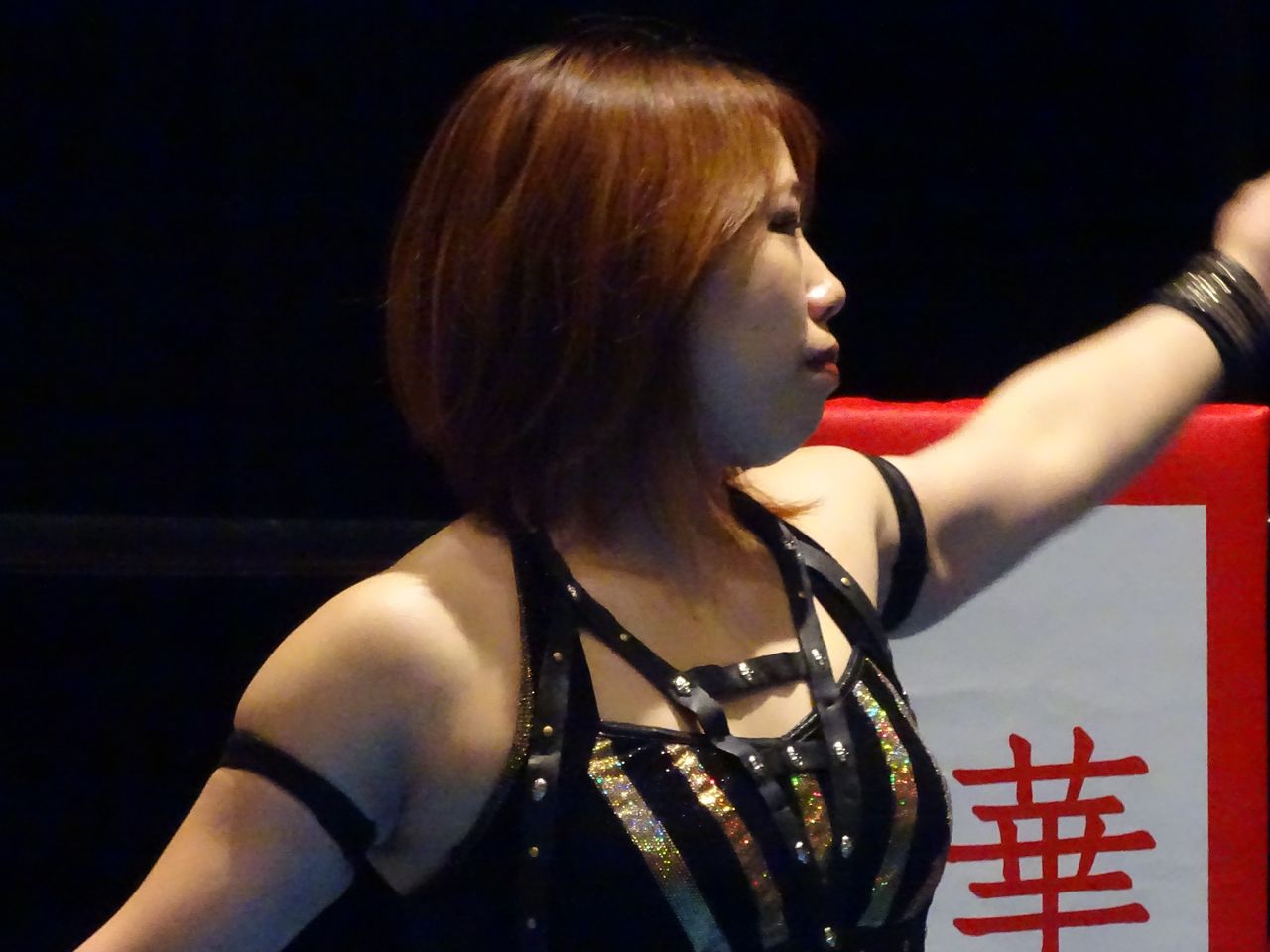 プロレスラー写真-blog B館
DASH・チサコ選手 2018/05
コメント
