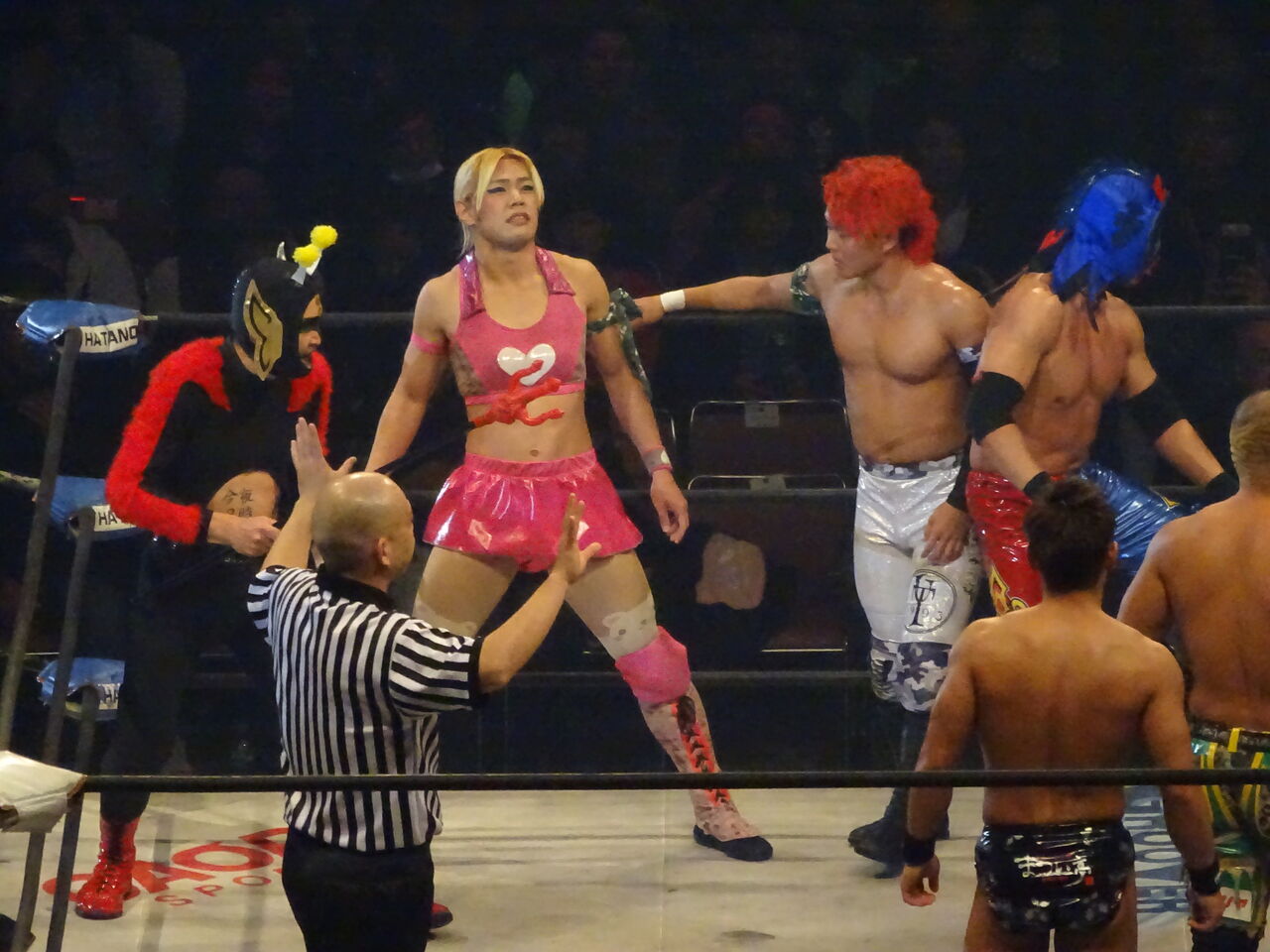 ヨースケ サンタマリア選手 17 12 プロレスラー写真 Blog C館 ヨースケ サンタマリア選手 17 12 プロレスラー写真 Blog C館