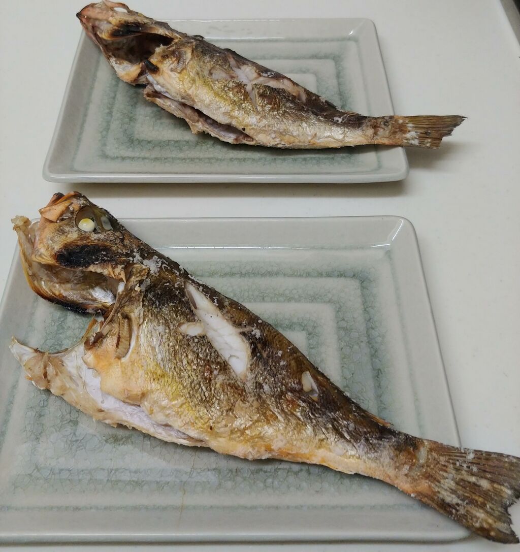 メバル2日目は塩焼き ロマネ ｓキッチン