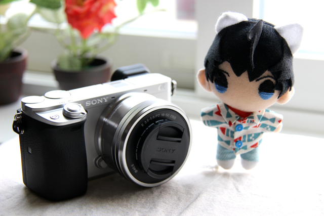 α6400の使用を開始しました : うねうねごろごろ Powered by α6400の使用を開始しました : うねうねごろごろ Powered by