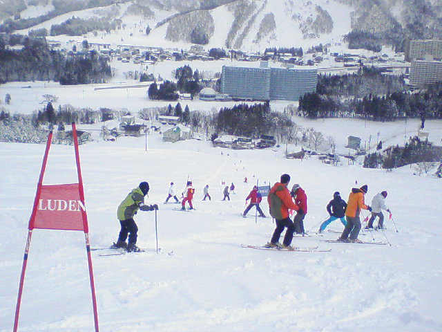 Ungulation 常設ポールレッスン