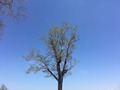 4E73A030-49C0-489F-A25E-AA9C00E68B96