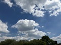 IMG_0180