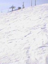 d262c6e4.jpg