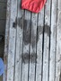 IMG_0129