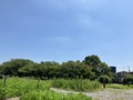 IMG_0124