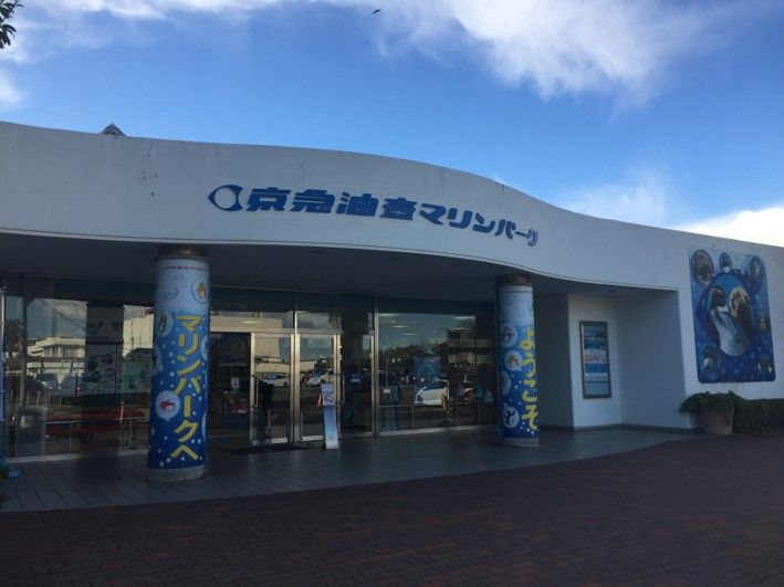 三浦市の水族館 京急油壷マリンパーク は独自のショーなど見所が多い 共働き東京子育て奮闘記うにちっぷす 三浦市の水族館 京急油壷マリンパーク は独自のショーなど見所が多い 共働き東京子育て奮闘記うにちっぷす