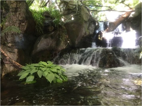 葛西臨海水族園 24