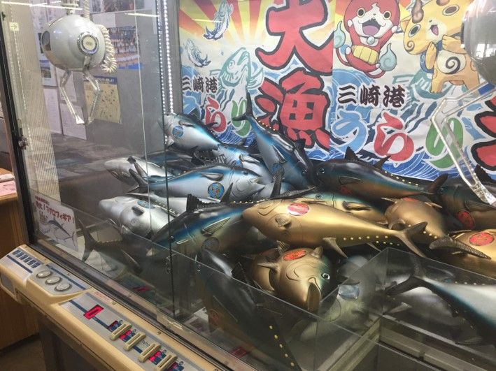 三浦 三崎港 に行ったら絶対行きたい魅力あふれる うらりマルシェ 共働き東京子育て奮闘記うにちっぷす 三浦 三崎港 に行ったら絶対行きたい魅力あふれる うらりマルシェ 共働き東京子育て奮闘記うにちっぷす