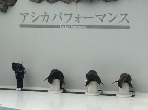 水族館 共働き東京子育て奮闘記うにちっぷす 水族館 共働き東京子育て奮闘記うにちっぷす