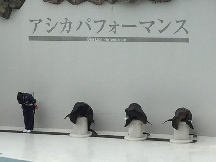 行楽シーズンはここで決まり 鴨川シーワールド をオススメする5つの理由 共働き東京子育て奮闘記うにちっぷす 行楽シーズンはここで決まり 鴨川シーワールド をオススメする5つの理由 共働き東京子育て奮闘記うにちっぷす