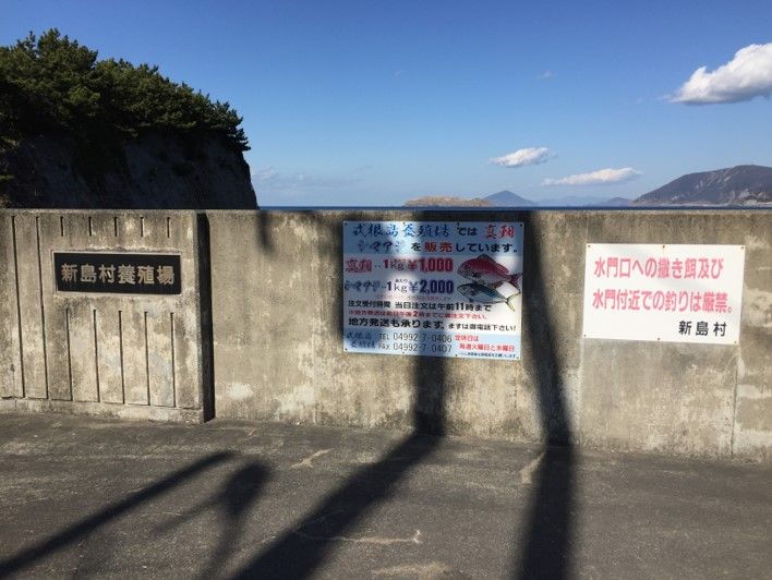 太平洋に面した環境で育った高級なタイとシマアジが割安通販で手に入る式根島養殖場 共働き東京子育て奮闘記うにちっぷす