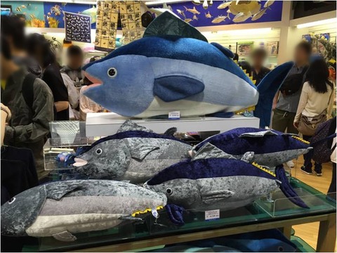 葛西臨海水族園 21