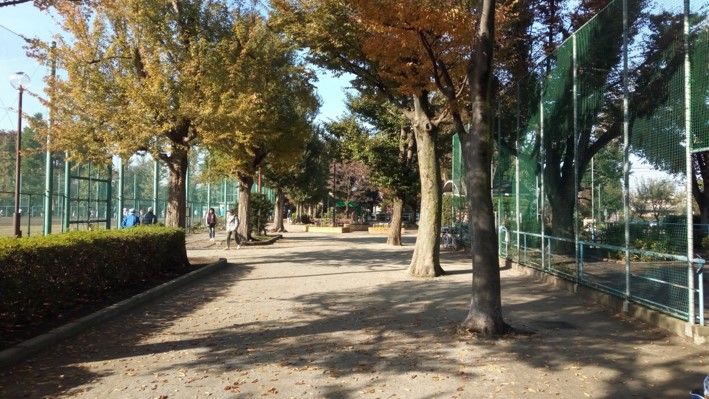 ポケモンｇｏ ロコンの巣 羽根木公園 東京都世田谷区 での捕獲状況公開 共働き東京子育て奮闘記うにちっぷす