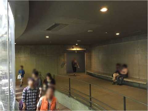 葛西臨海水族園 27