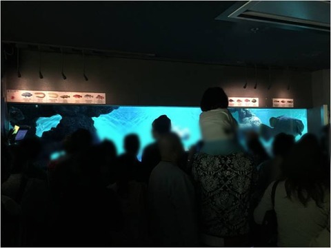 葛西臨海水族園 6