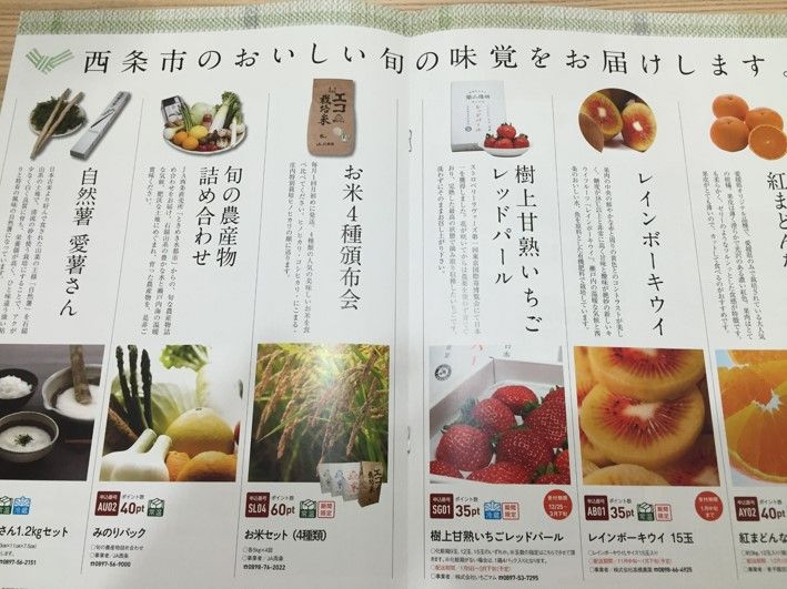 ふるさと納税 15 肉も魚も果物も旨そうな特産品をポイントで選べる 愛媛県西条市 共働き東京子育て奮闘記うにちっぷす ふるさと納税 15 肉も魚も果物も旨そうな特産品をポイントで選べる 愛媛県西条市 共働き東京子育て奮闘記うにちっぷす