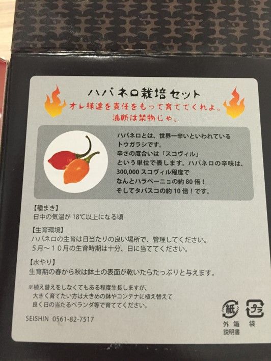 ハバネロ栽培セットで激辛ハバネロを育て 収穫 パスタのお供にしようプロジェクト始動 共働き東京子育て奮闘記うにちっぷす ハバネロ栽培セットで激辛ハバネロを育て 収穫 パスタのお供にしようプロジェクト始動 共働き東京子育て奮闘記うにちっぷす