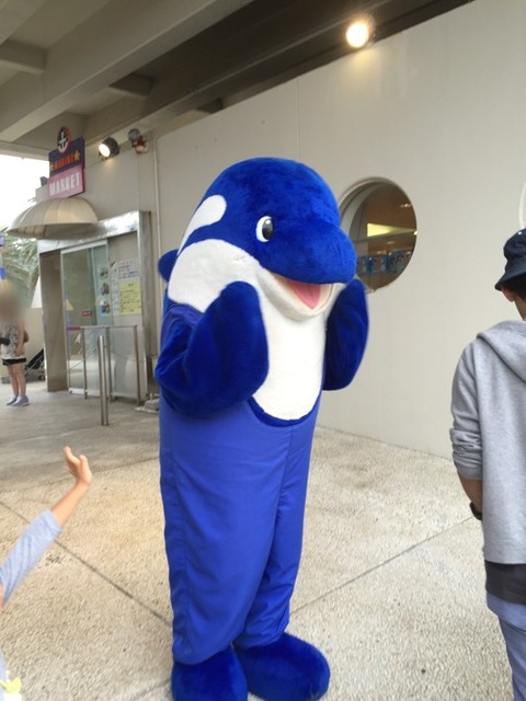 鴨川シーワールド 15