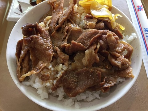 さるびあ丸 3