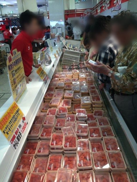 予約不要で入場無料の工場見学 お土産もフードコーナーも充実 めんたいパーク大洗 共働き東京子育て奮闘記うにちっぷす