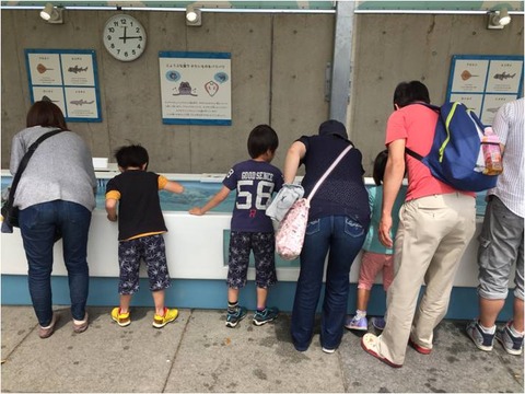 葛西臨海水族園 15